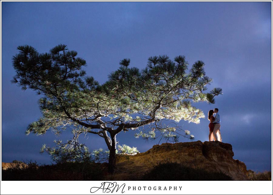torrey-pines-state-park-san-diego-wedding-photographer-0003 Torrey Pines State Park | San Diego | Sanaz + Scott’s Engagement Photography