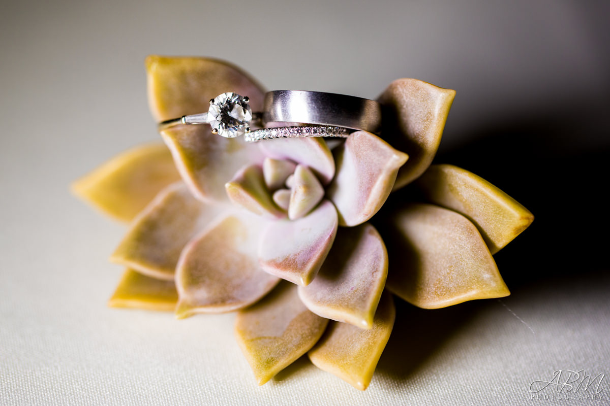 martin-johnson-house-san-diego-wedding-photographer-0049 Martin Johnson House | La Jolla | Meghan + Alan’s Wedding Photography