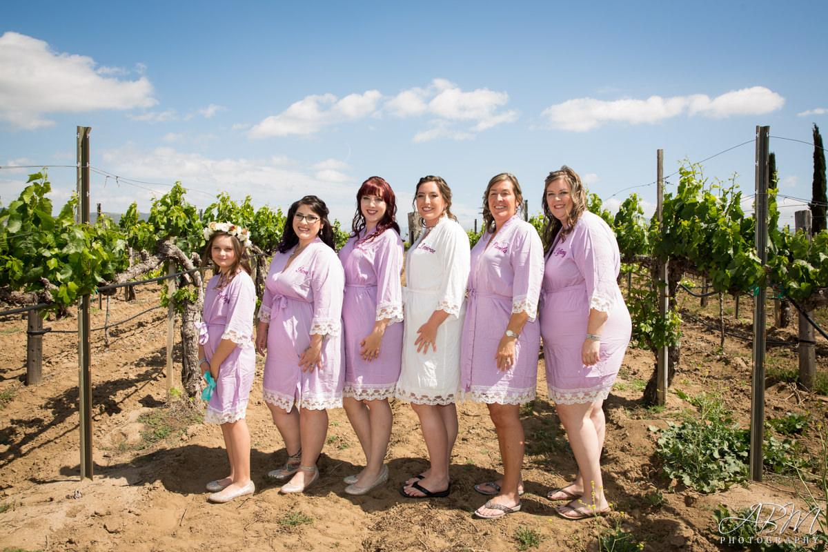wiens-family-cellars-san-diego-wedding-photographer-0007 Wiens Family Cellars | Temecula | Desirae + Joshua’s Wedding Photography