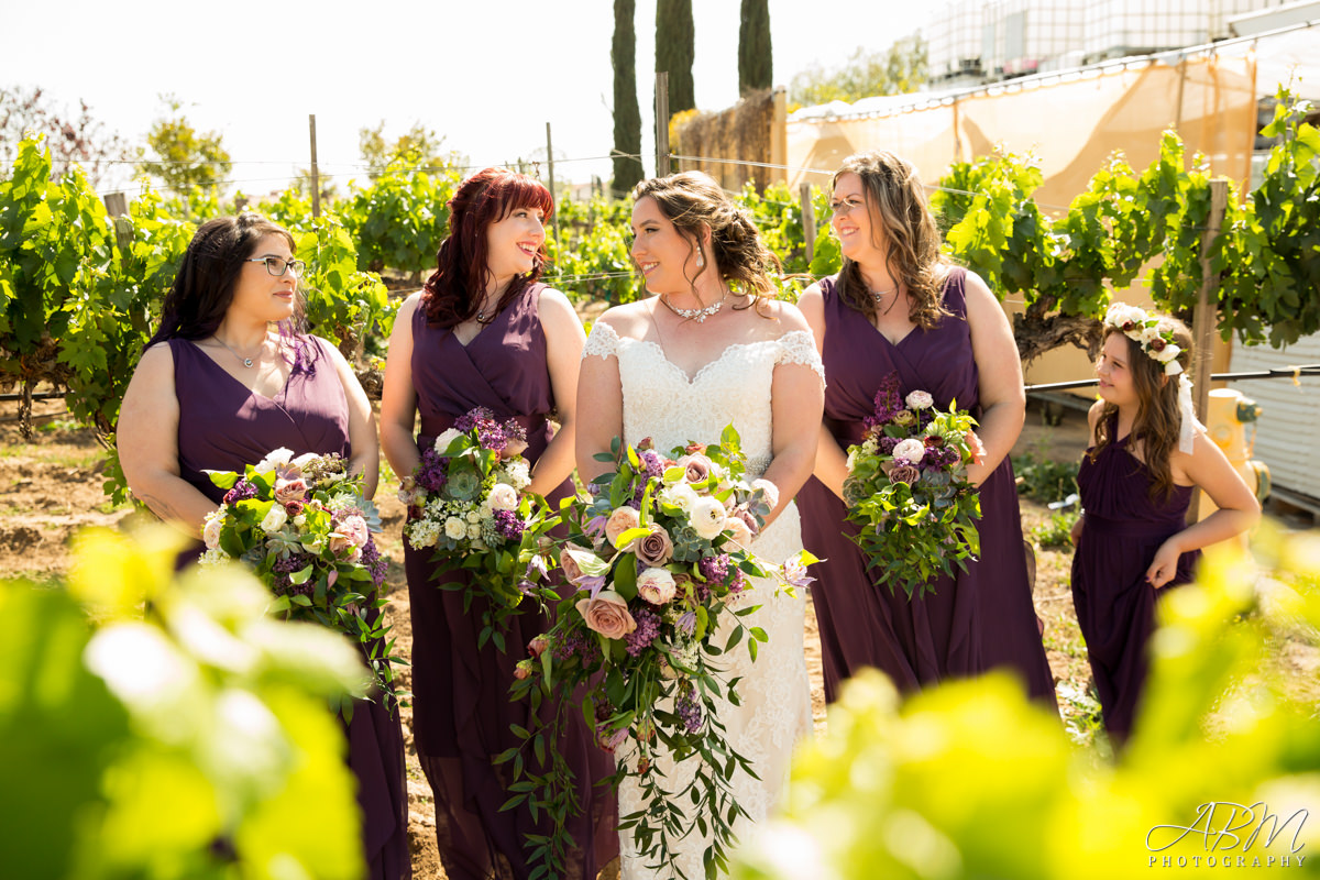 wiens-family-cellars-san-diego-wedding-photographer-0014 Wiens Family Cellars | Temecula | Desirae + Joshua’s Wedding Photography