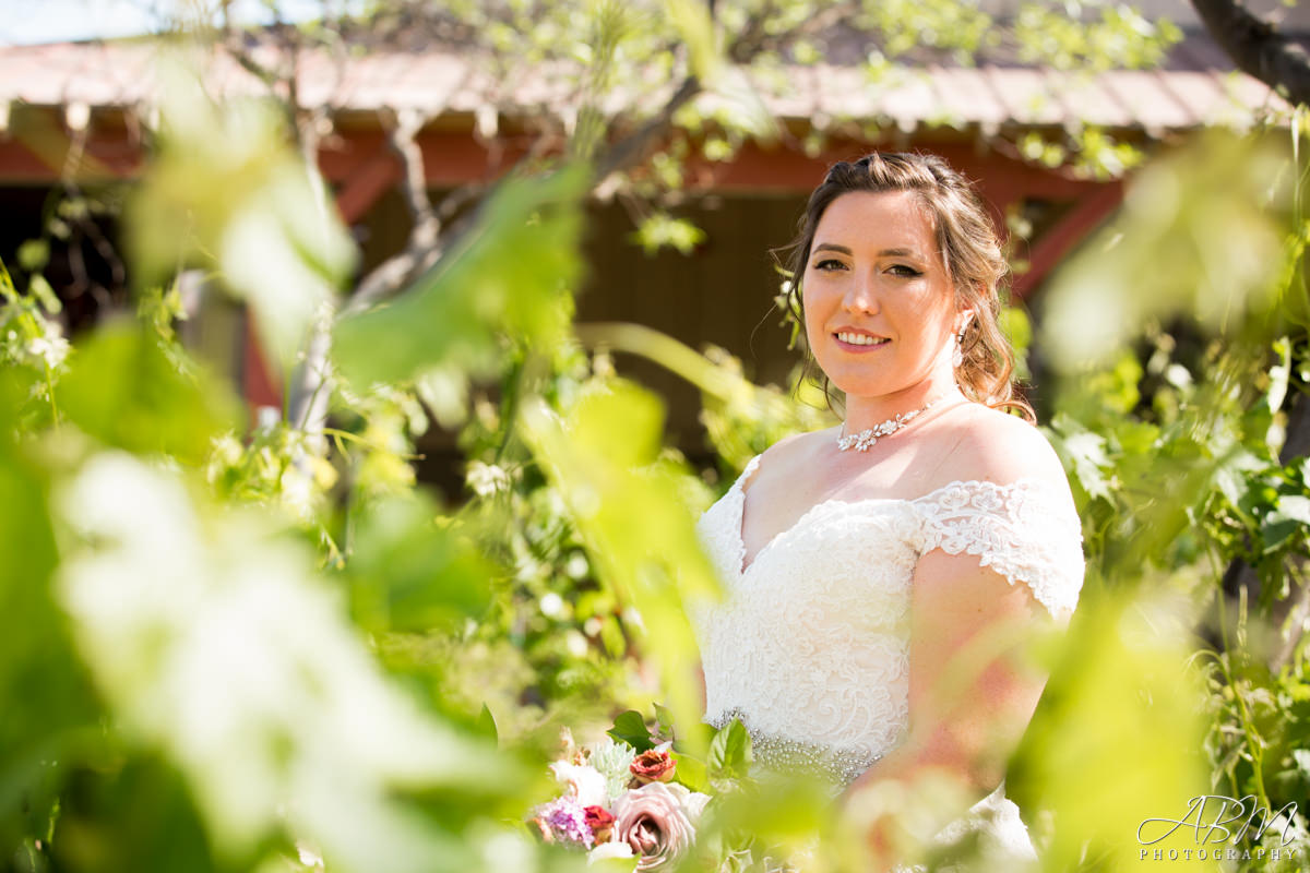 wiens-family-cellars-san-diego-wedding-photographer-0017 Wiens Family Cellars | Temecula | Desirae + Joshua’s Wedding Photography