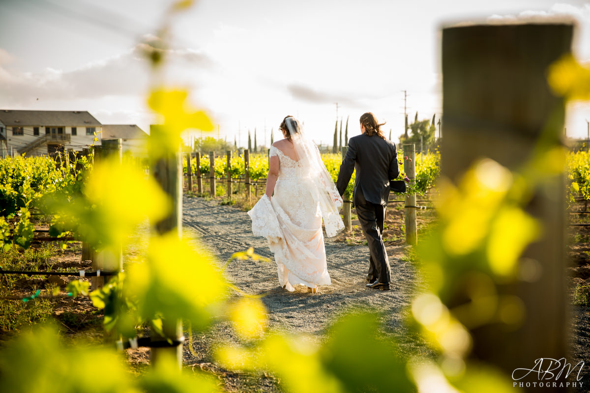 wiens-family-cellars-san-diego-wedding-photographer-0035 Wiens Family Cellars | Temecula | Desirae + Joshua’s Wedding Photography
