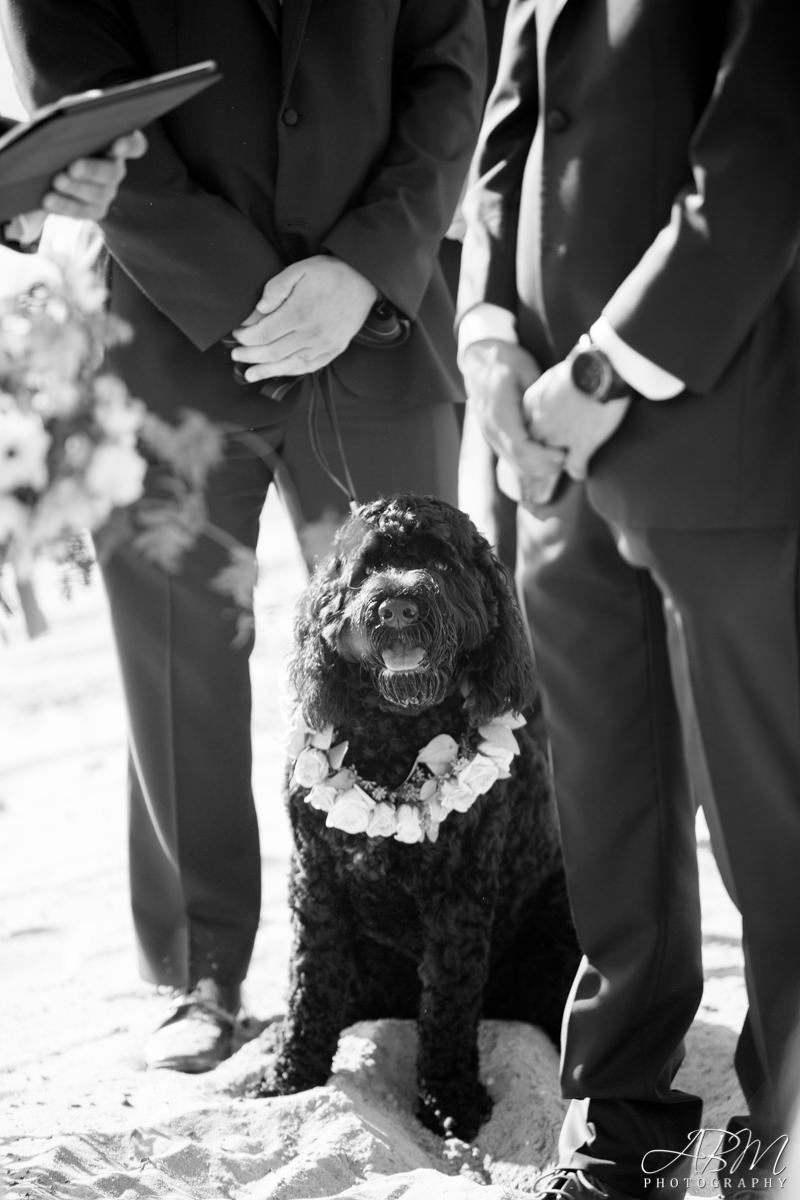 hilton-mission-bay-resort-san-diego-wedding-photograper-0036 Hilton San Diego Resort & Spa | San Diego | Marisa + Colton’s Wedding Photography