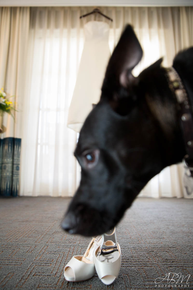 hyatt-park-aviara-0009 Park Hyatt Aviara Resort | Carlsbad | Silas + Danielle’s Wedding Photography