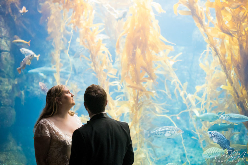 birch-aquarium-at-scripps-san-diego-wedding-photographer-0029-1024x683 Birch Aquarium | La Jolla | Alessandra + Ryan’s Wedding Photography