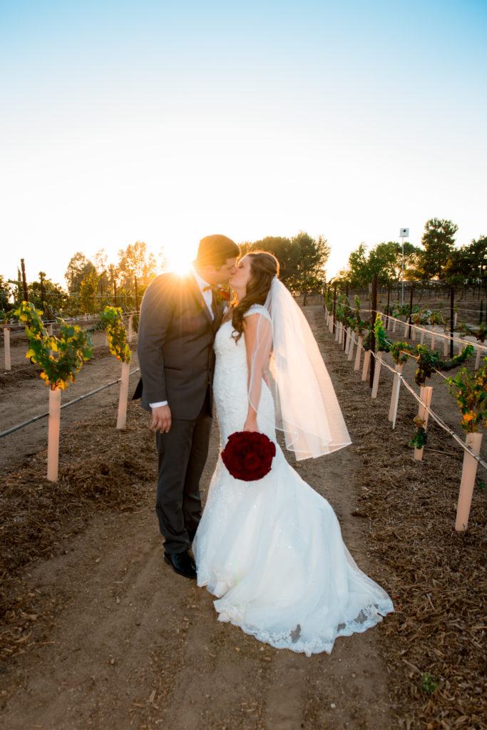 temecula-vineyard-san-diego-wedding-photographer-0033-683x1024 Domaine Chardonnay Vineyard Estate | Temecula | Erin + Kellen’s Wedding Photography