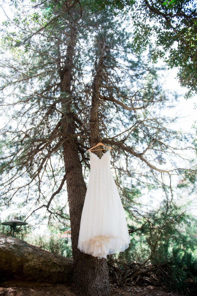 Descanso-junction-san-diego-wedding-photographer-0007-1-683x1024 Descanso Junction | Descanso | Coryann + Aj's Wedding Photography