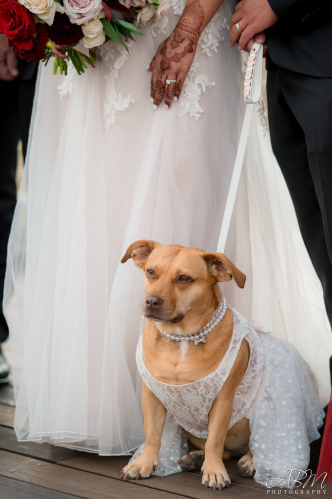 Salt Drift Pointe | Imperial Beach | Chris and Jessica’s Wedding Photography Weddings salt-drift-san-diego-wedding-wedding-photographer-0039-681x1024 Salt Drift Pointe | Imperial Beach | Chris and Jessica’s Wedding Photography
