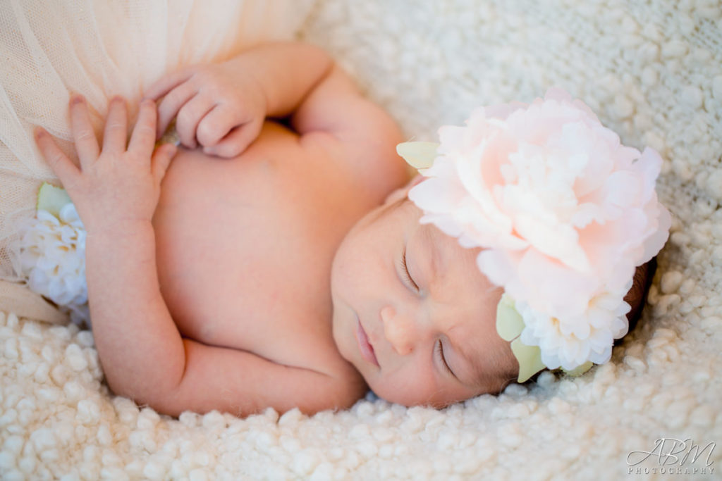 san-diego-new-born-photographer-0006-1024x683 Newborn Studio | Sorrento Valley | Baby Asgari