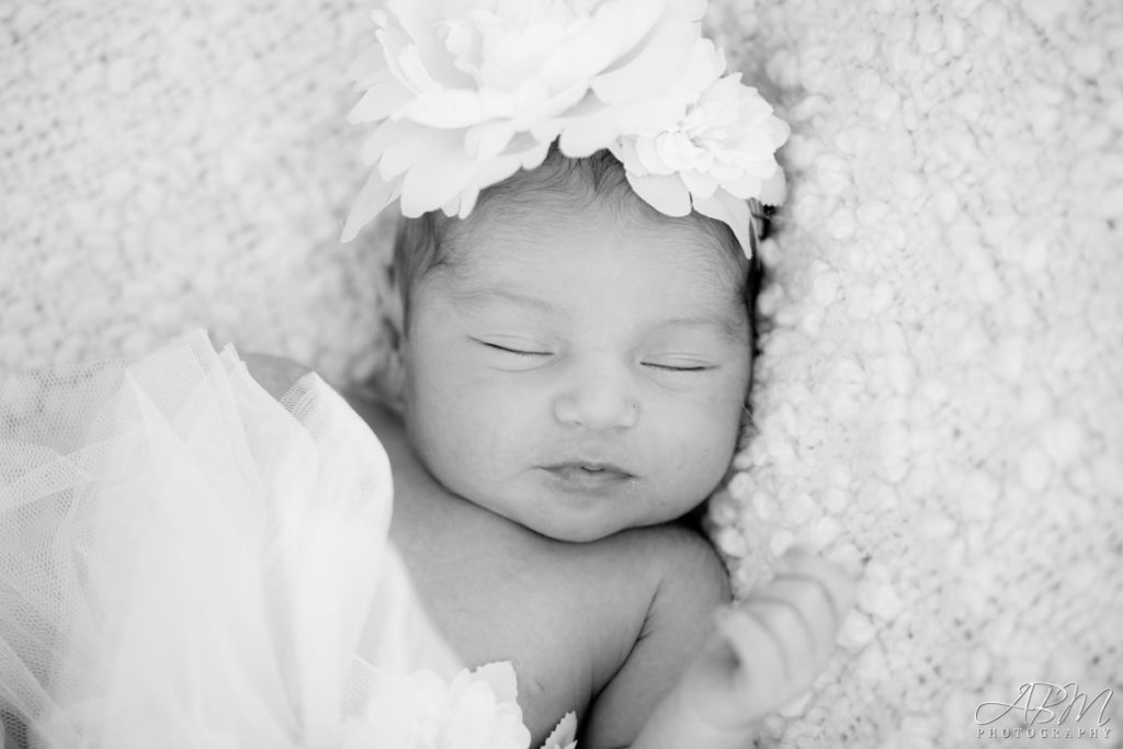 san-diego-new-born-photographer-0007-1024x683 Newborn Studio | Sorrento Valley | Baby Asgari