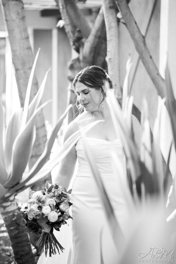 Carlsbad Windmill | Carlsbad | Maggie + William's Wedding Photography Weddings Carlsbad-Windmill-carlsbad-wedding-photography-025-683x1024 Carlsbad Windmill | Carlsbad | Maggie + William's Wedding Photography